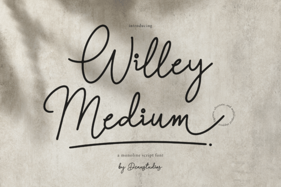 Willey Medium Font Fonts Free Downloads